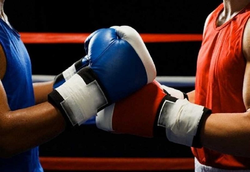 Step Into the Ring with Enchantsaga.com: Your Ultimate Fantasy Boxing Experience